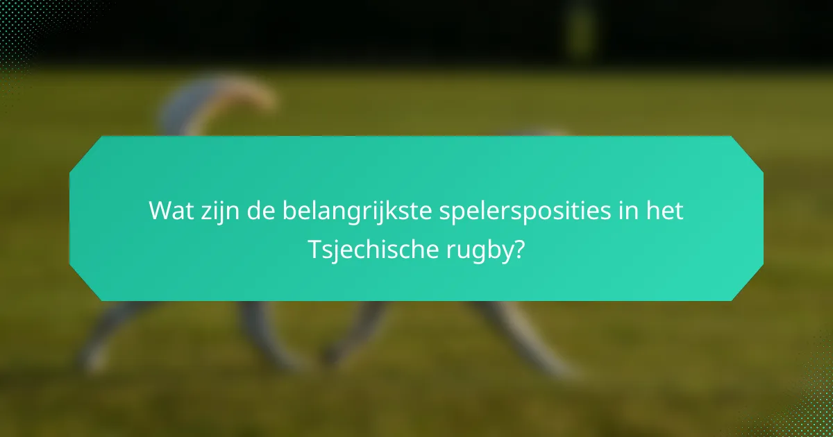 Wat zijn de belangrijkste spelersposities in het Tsjechische rugby?